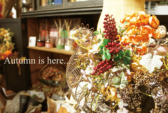 Autumn_is_here