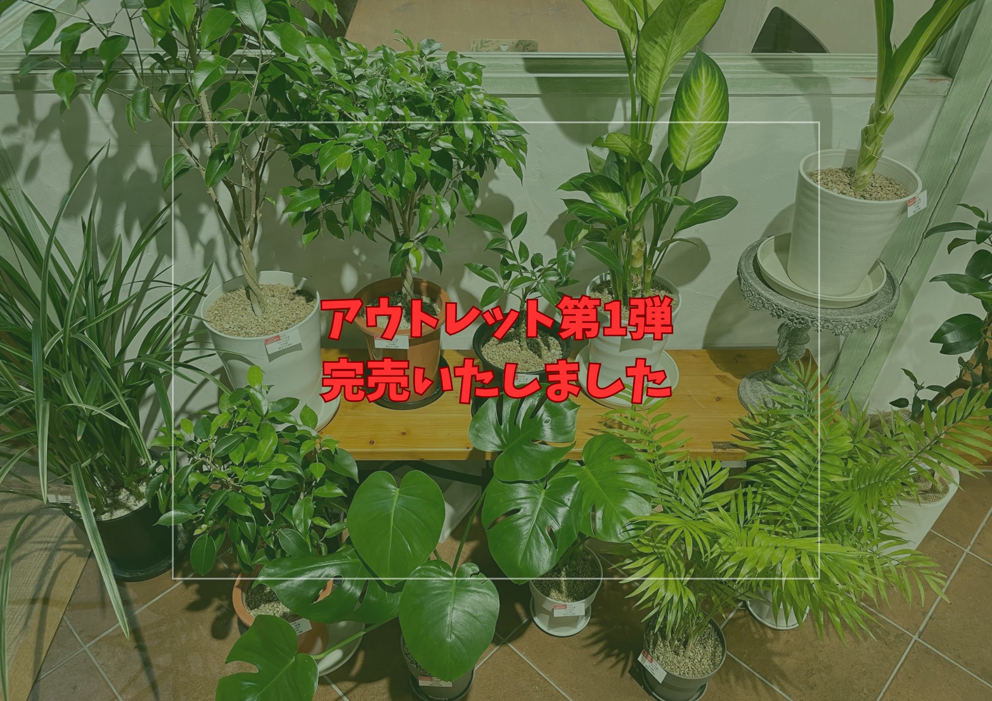 greenfairパネル