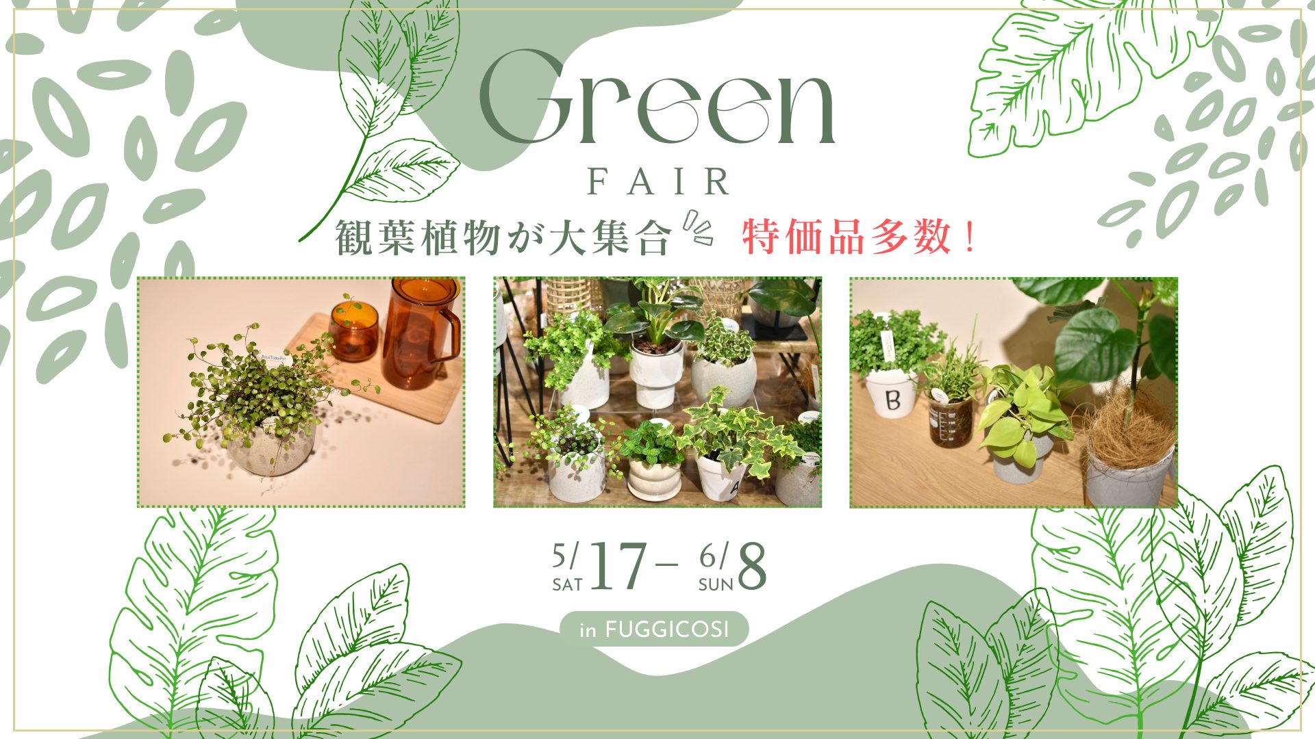 GREENFAIR hp