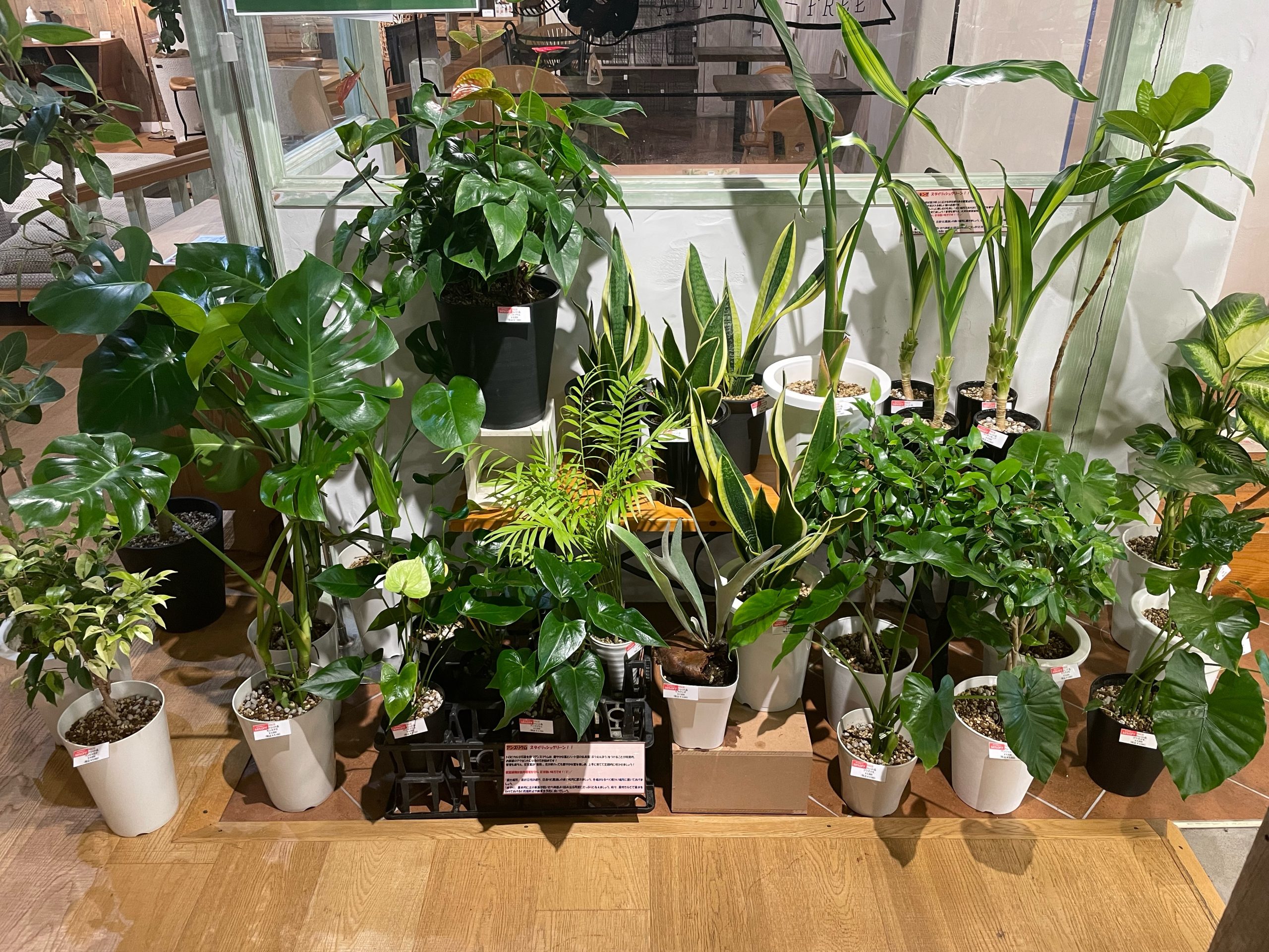 第４段