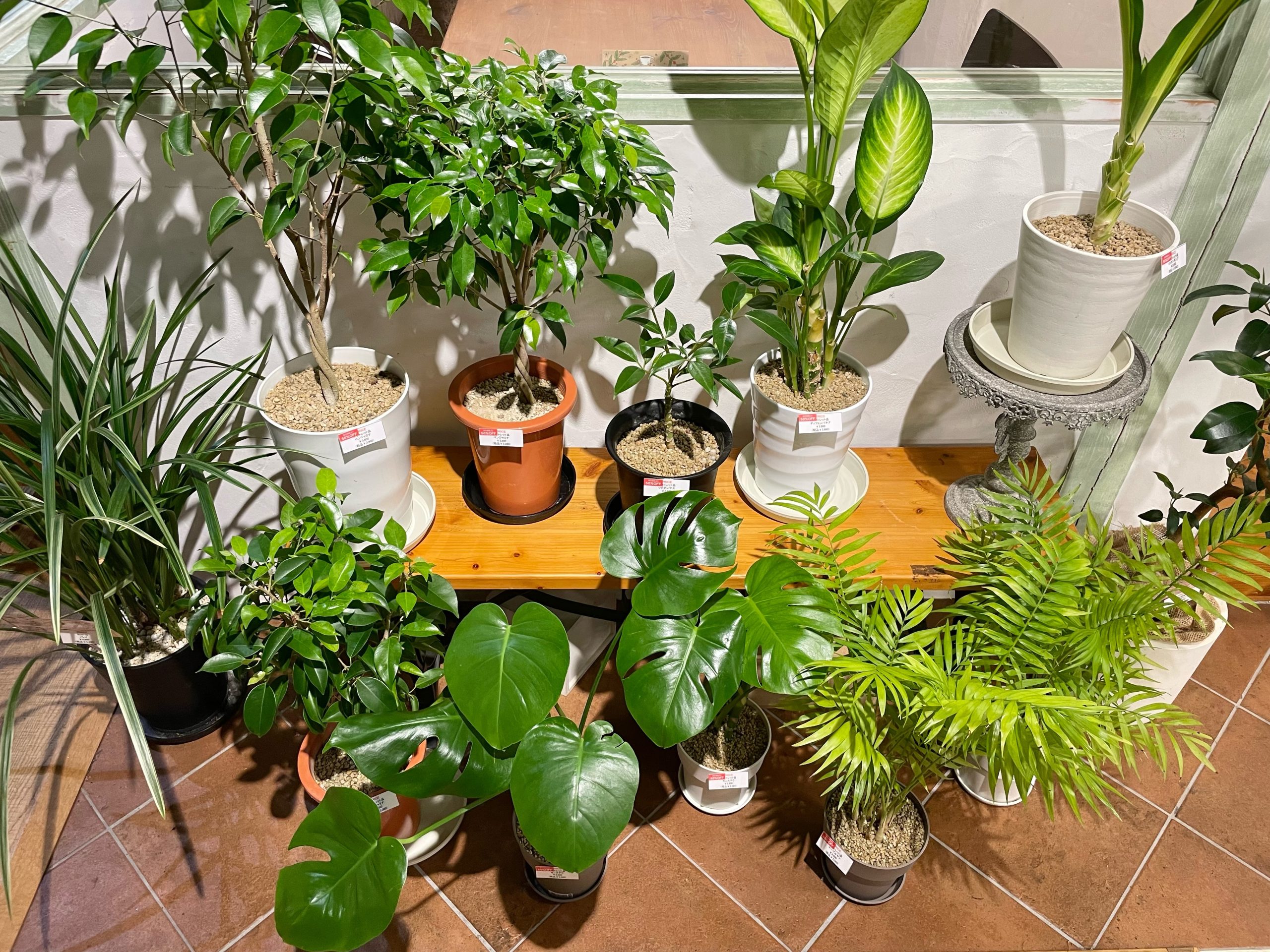image0