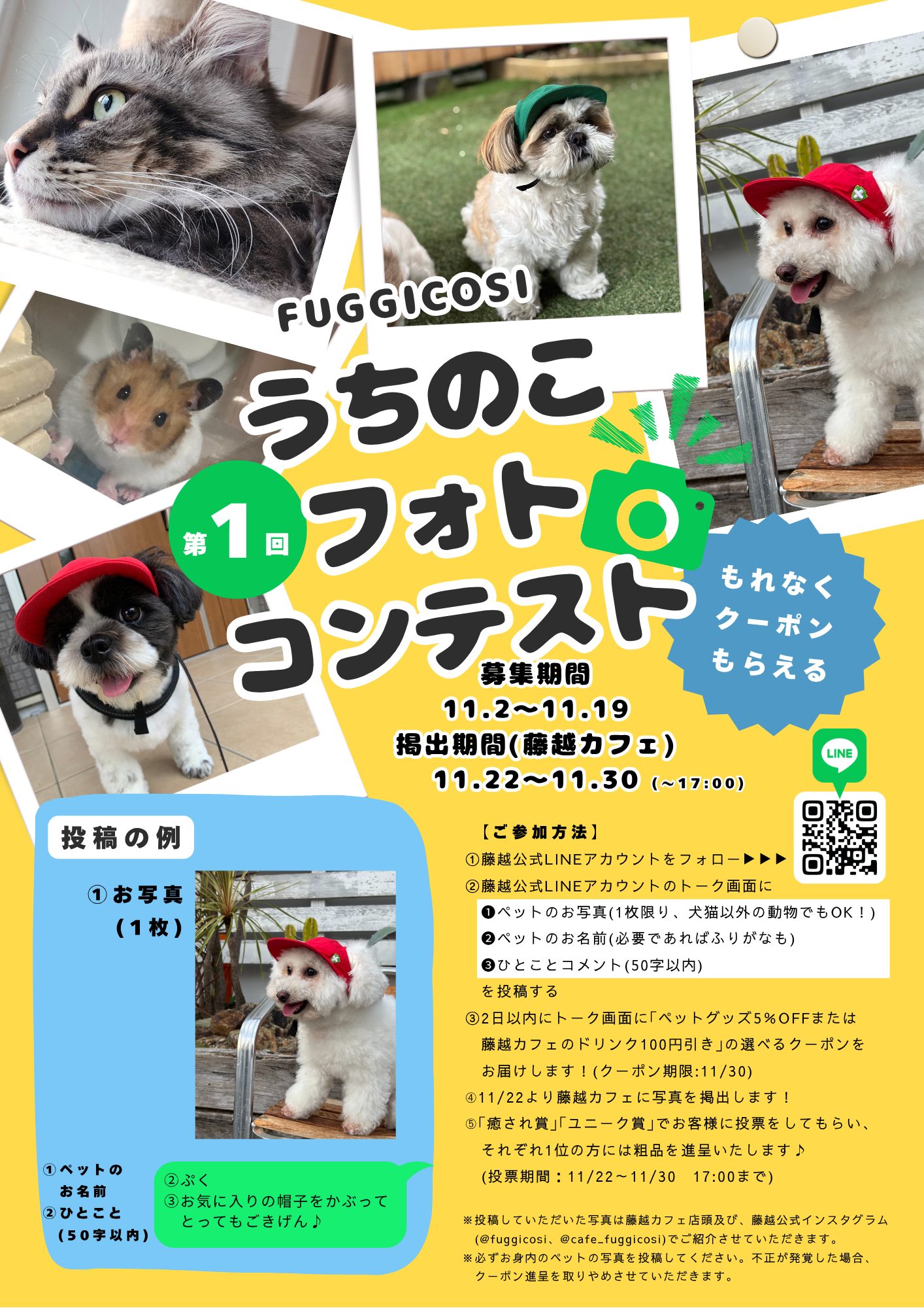 うちのこ フォト コンテスト (1)